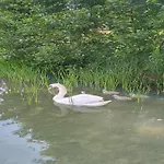 Σπίτι διακοπών In A Quiet Location By The Mausz, In Kashubia