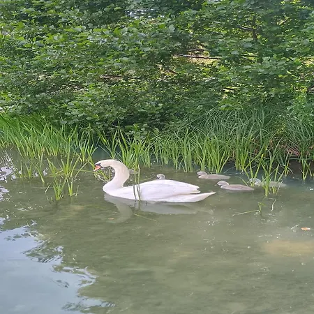 Dom wakacyjny In A Quiet Location By The Mausz, In Kashubia