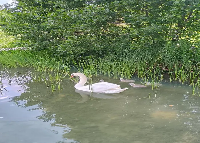 Dom wakacyjny In A Quiet Location By The Mausz, In Kashubia Parchowo