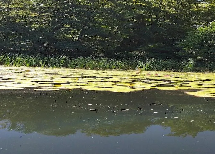 In A Quiet Location By The Mausz, In Kashubia 펜션 *
